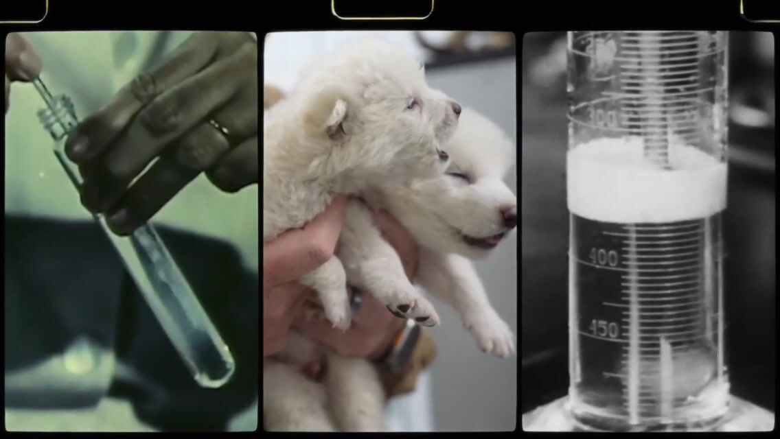 Colossal Biosciences